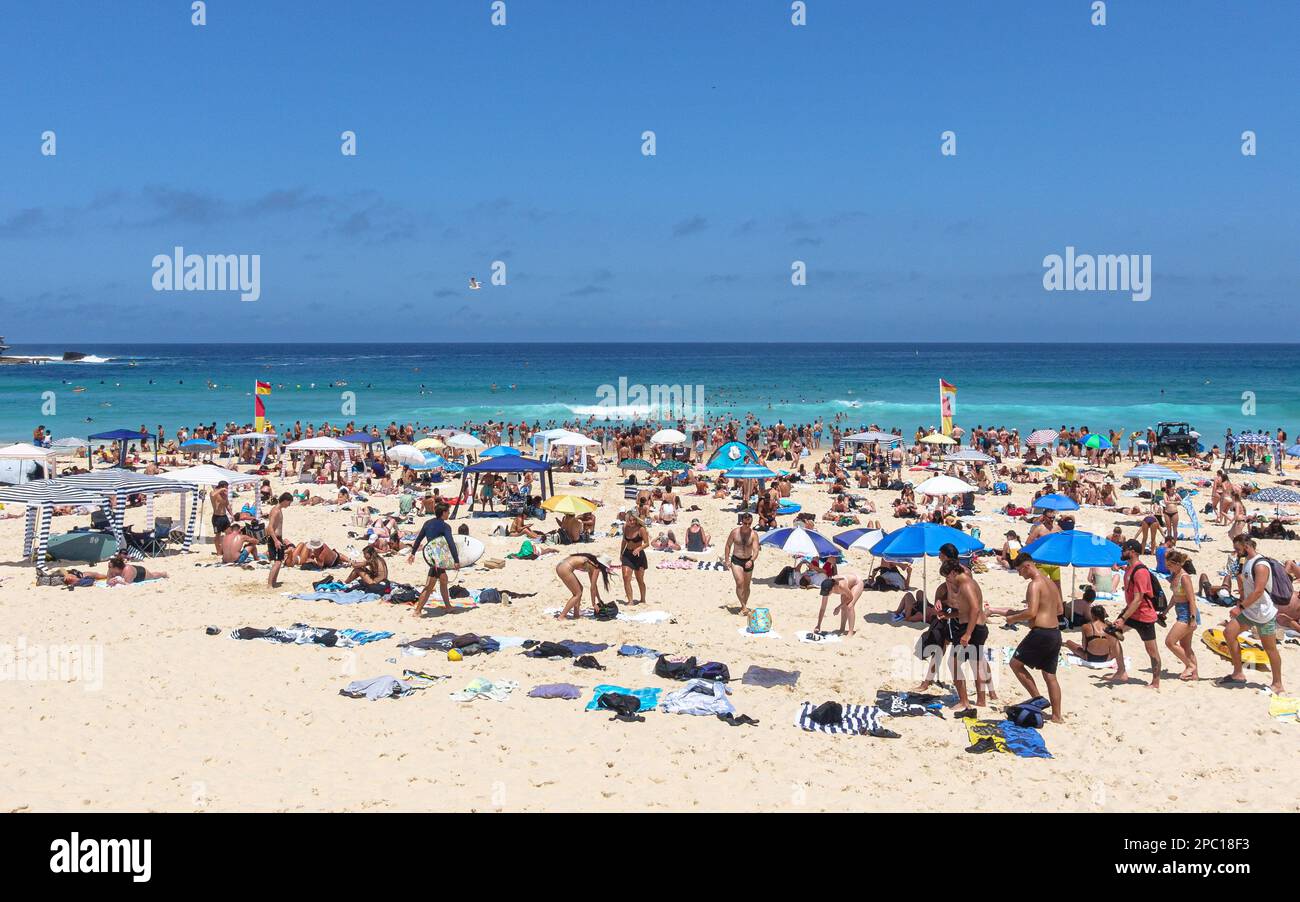Gente sulla sabbia affollata di Bondi Beach in estate Foto Stock