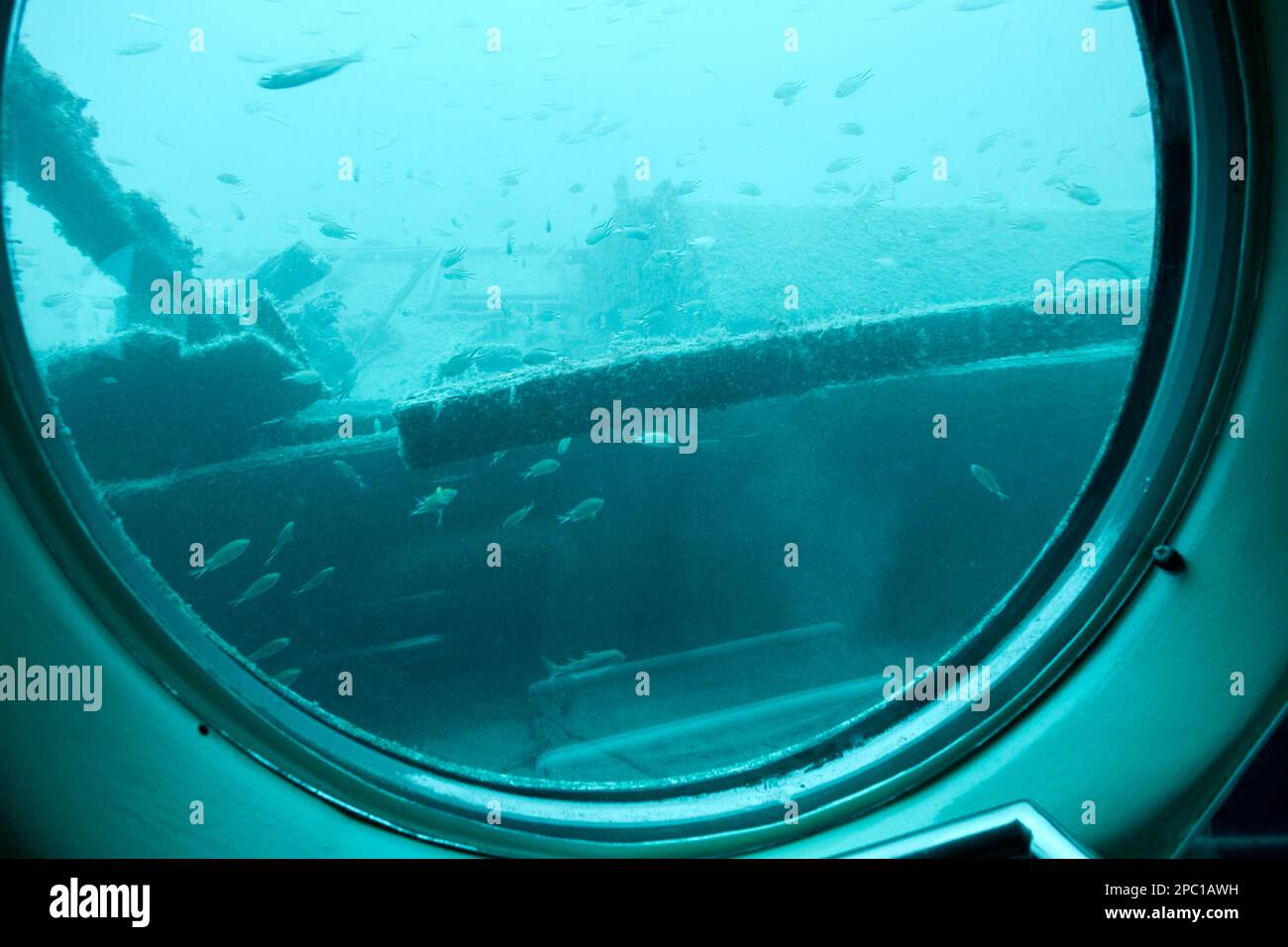Guardando fuori dalla finestra oblò per pescare intorno al relitto di barche di legno a bordo del sottomarino safari fuori da puerto calero Lanzarote, Canary Isla Foto Stock
