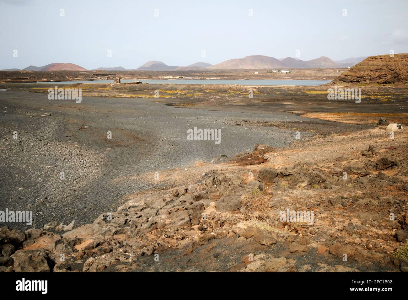 Janubio area di interesse scientifico zepa protezione speciale per gli uccelli e la laguna Lanzarote, Isole Canarie, Spagna Foto Stock