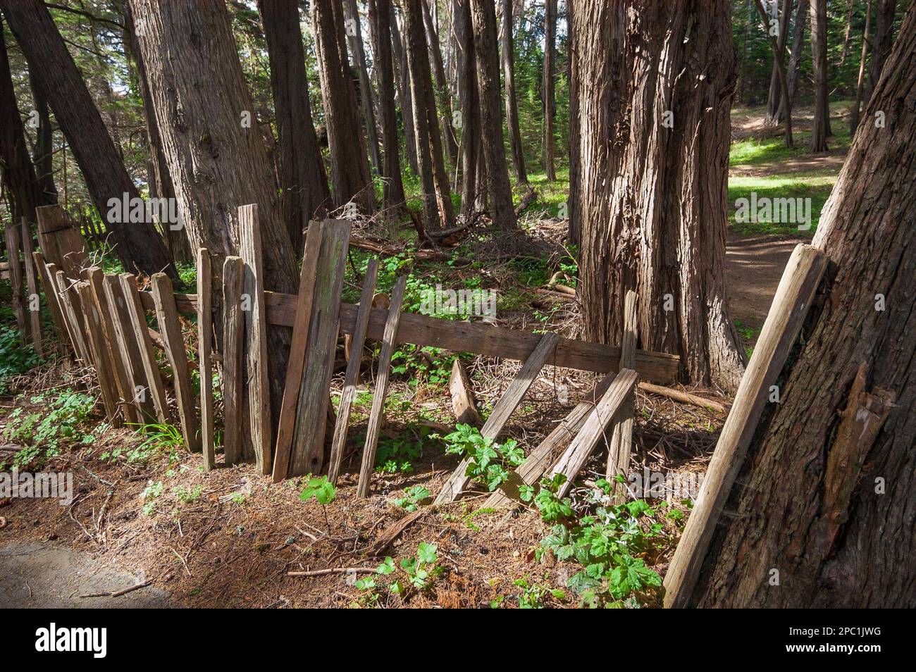 Fort Ross state Historic Park, California Foto Stock