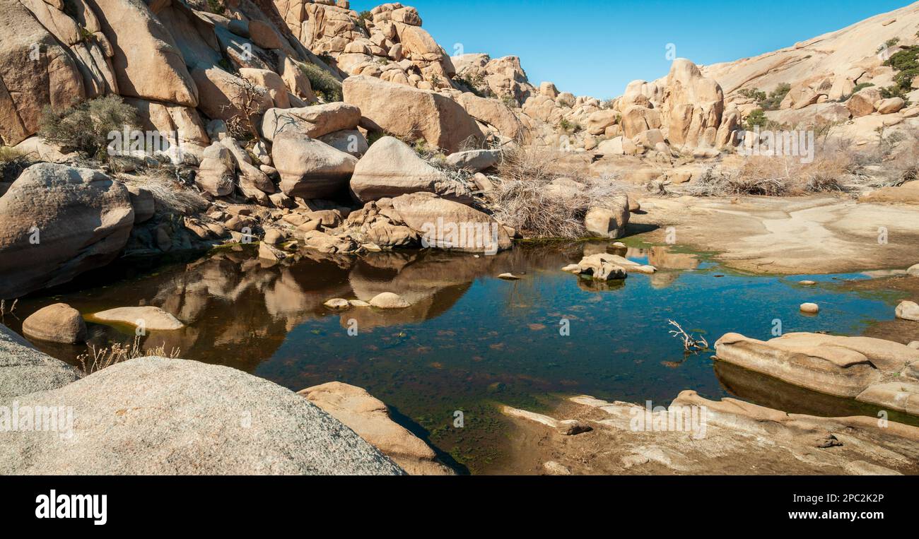 Joshua Tree National Park, California Foto Stock