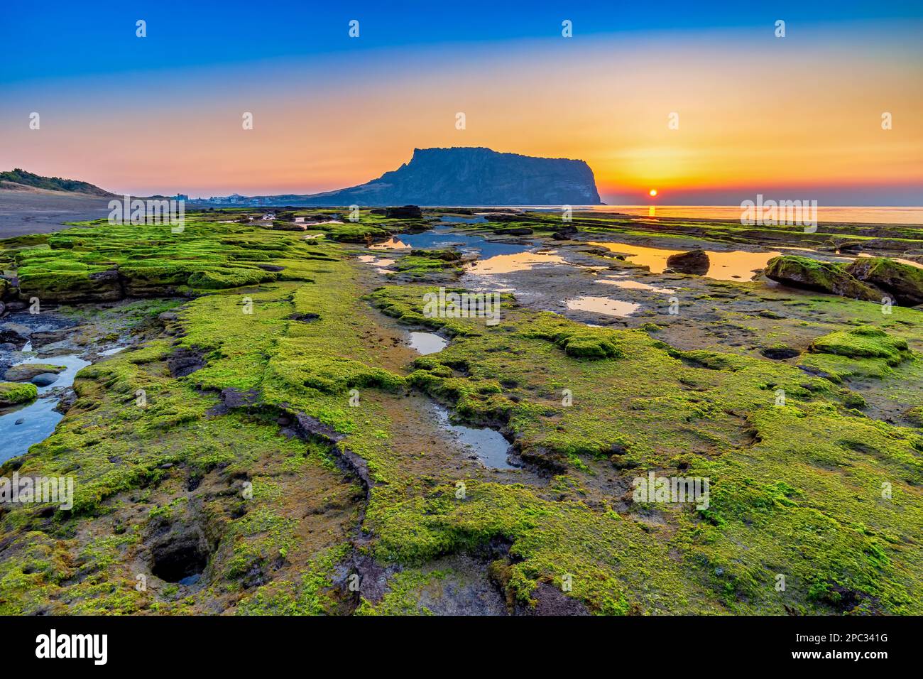 Jeju Island Corea Del Sud, Alba Natura Paesaggio A Jeju Do Seongsan Ilchulbong Foto Stock