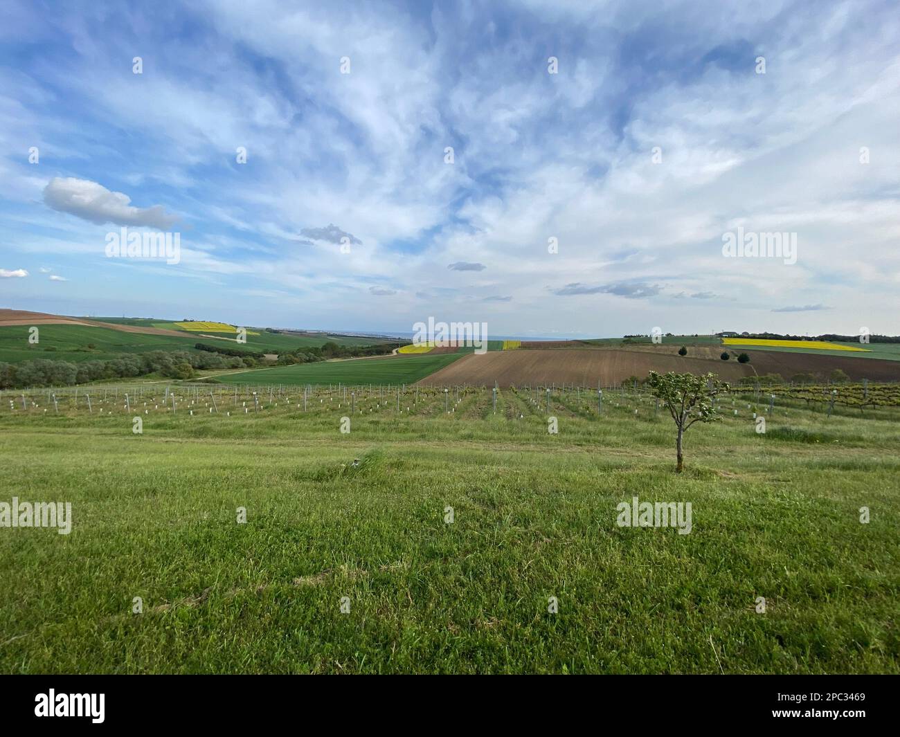 Primavera paesaggio rurale senza fine nel wolds con campi agricoli, fattorie, alberi e siepi sotto un cielo nuvoloso blu Foto Stock