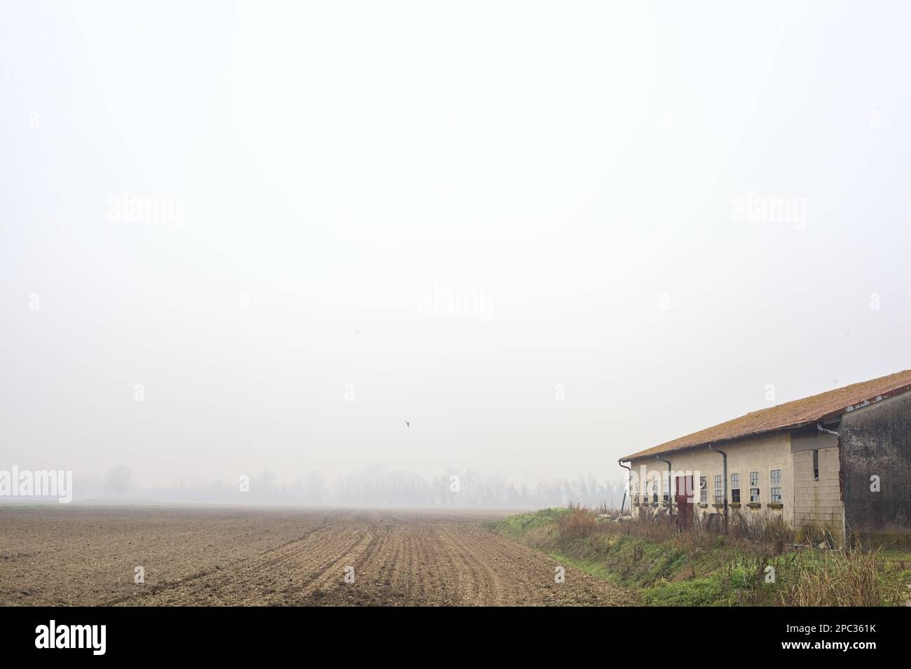 Campo arato e fienile accanto ad esso in una giornata di nebbia nella campagna italiana Foto Stock