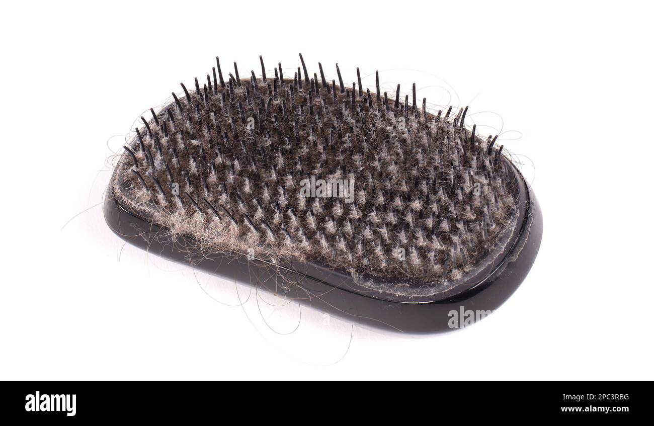 Primo piano di un pennello sporco su sfondo bianco, isolato Foto Stock