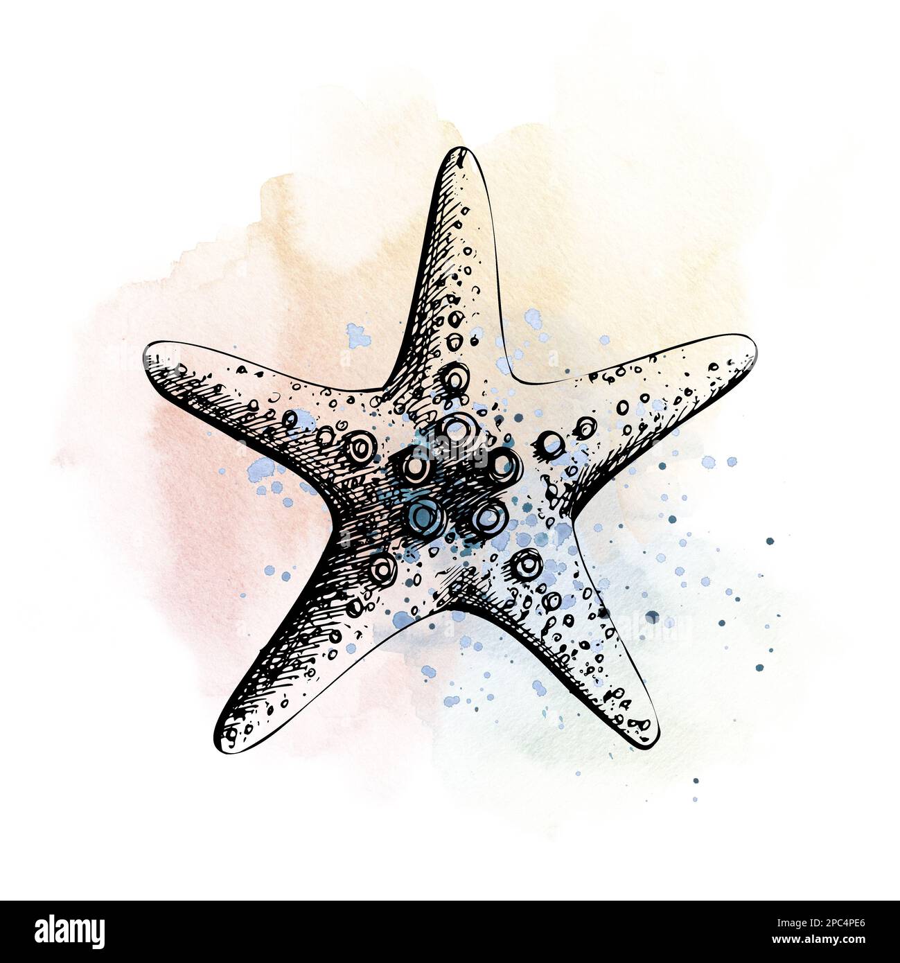 Stelle marine sullo sfondo di blu e corallo incidente macchie e schizzi. Illustrazione disegnata a mano in stile grafico. Per la decorazione e il design di Foto Stock