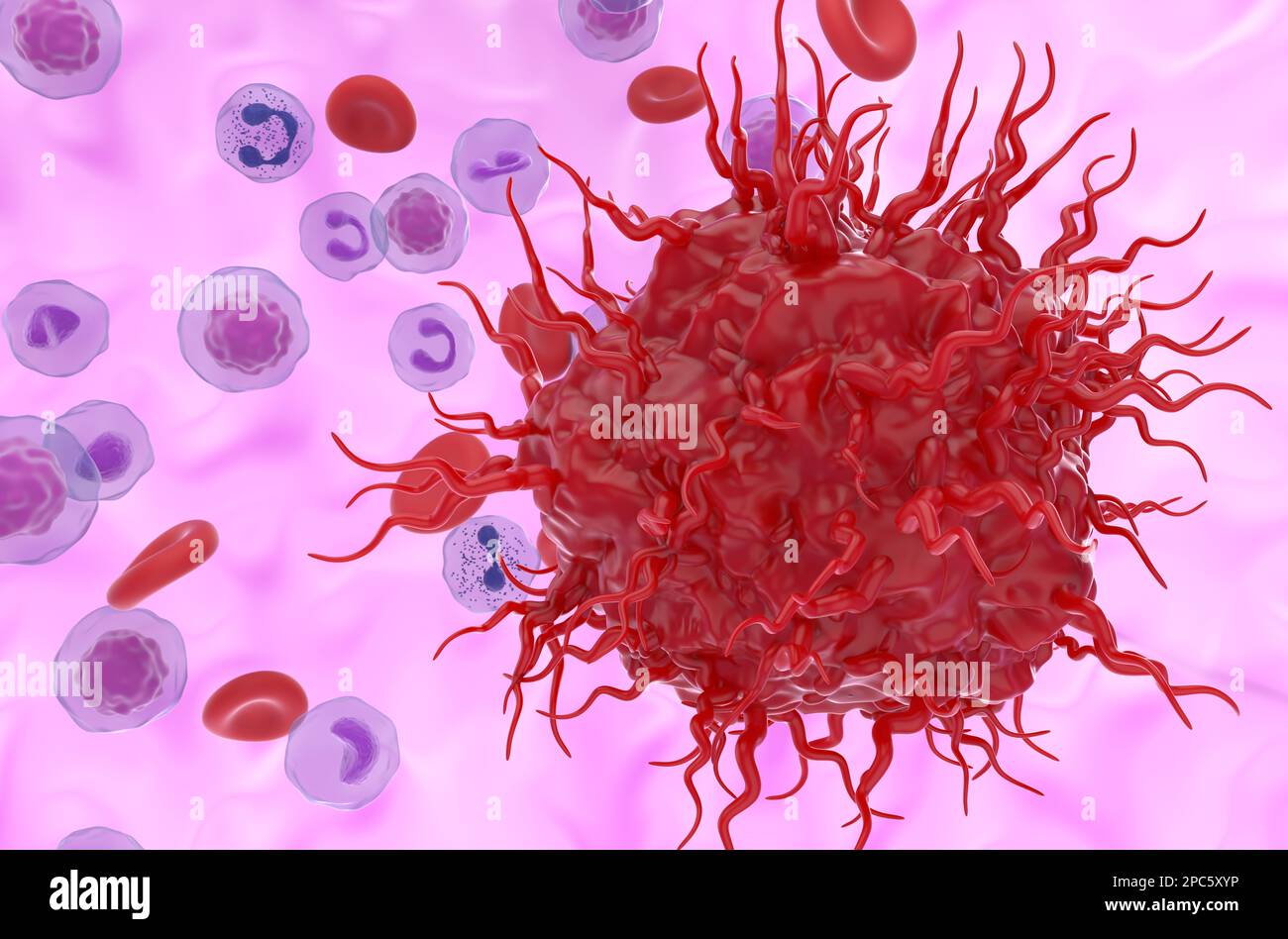 Cellule tumorali neuroendocrine metastatiche nel flusso sanguigno - 3D illustrazione vista closeup Foto Stock