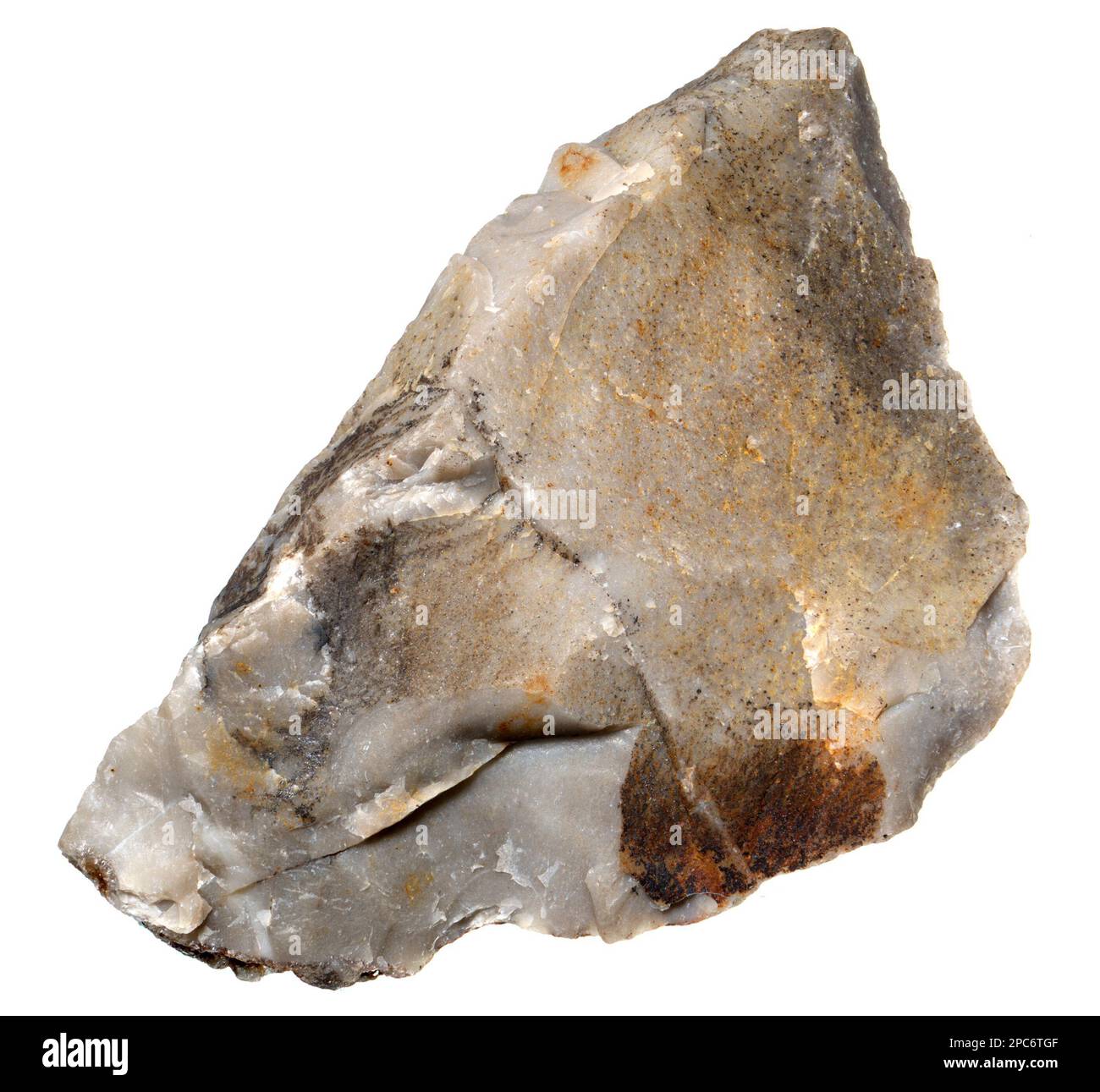 Flint - forma sedimentaria di quarzo criptocristallino (c5cm) Foto Stock