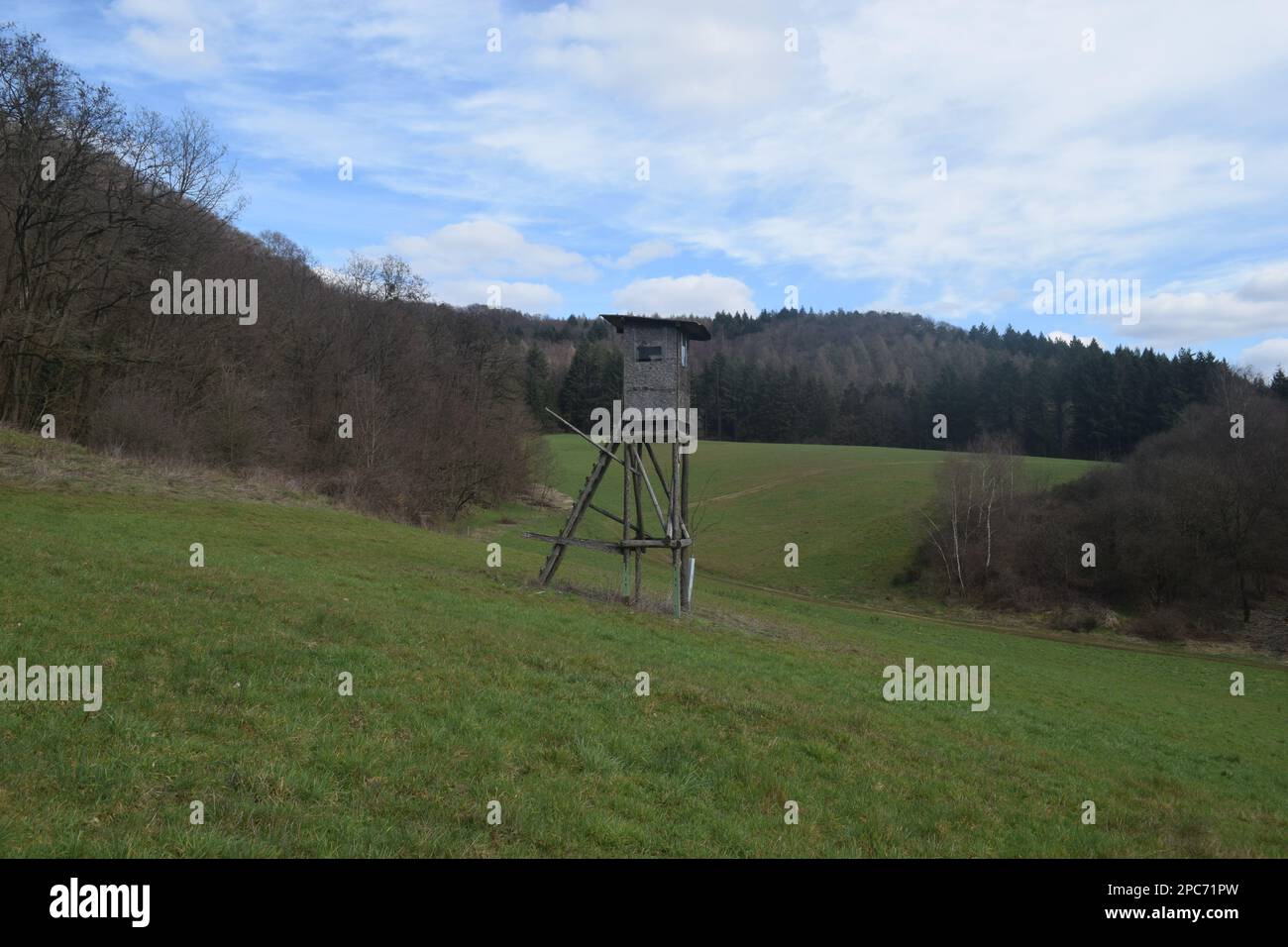 Forester si trova in alto sul bordo della foresta, Förster hoch sitz Foto Stock