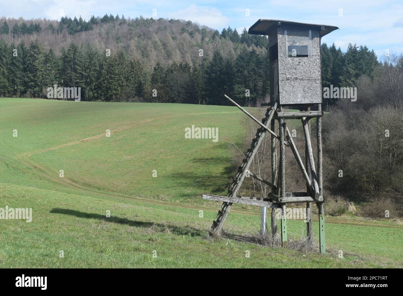 Forester si trova in alto sul bordo della foresta, Förster hoch sitz Foto Stock