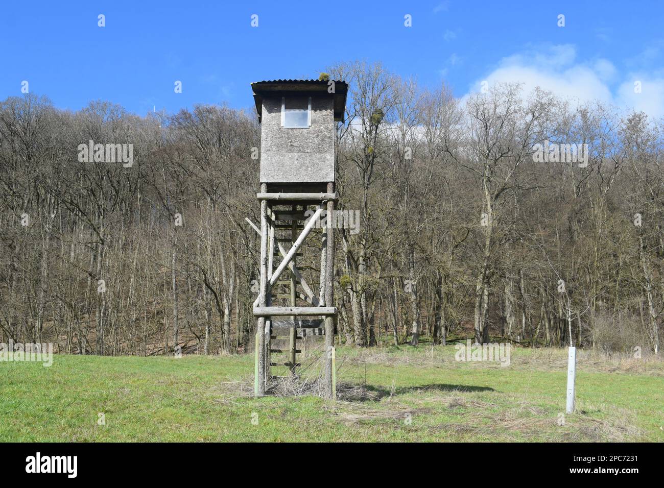 Forester si trova in alto sul bordo della foresta, Förster hoch sitz Foto Stock