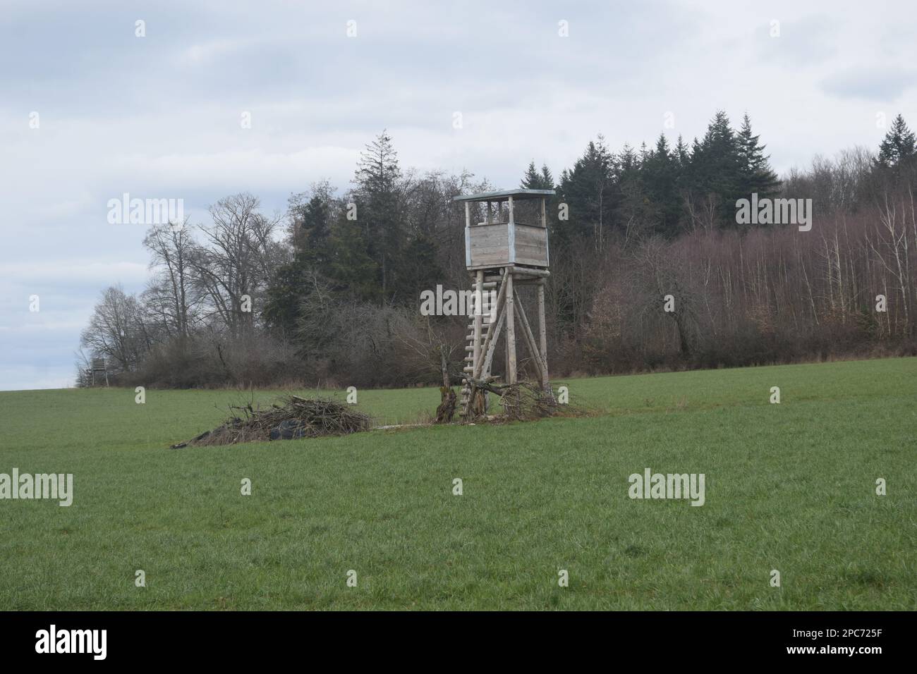 Forester si trova in alto sul bordo della foresta, Förster hoch sitz Foto Stock