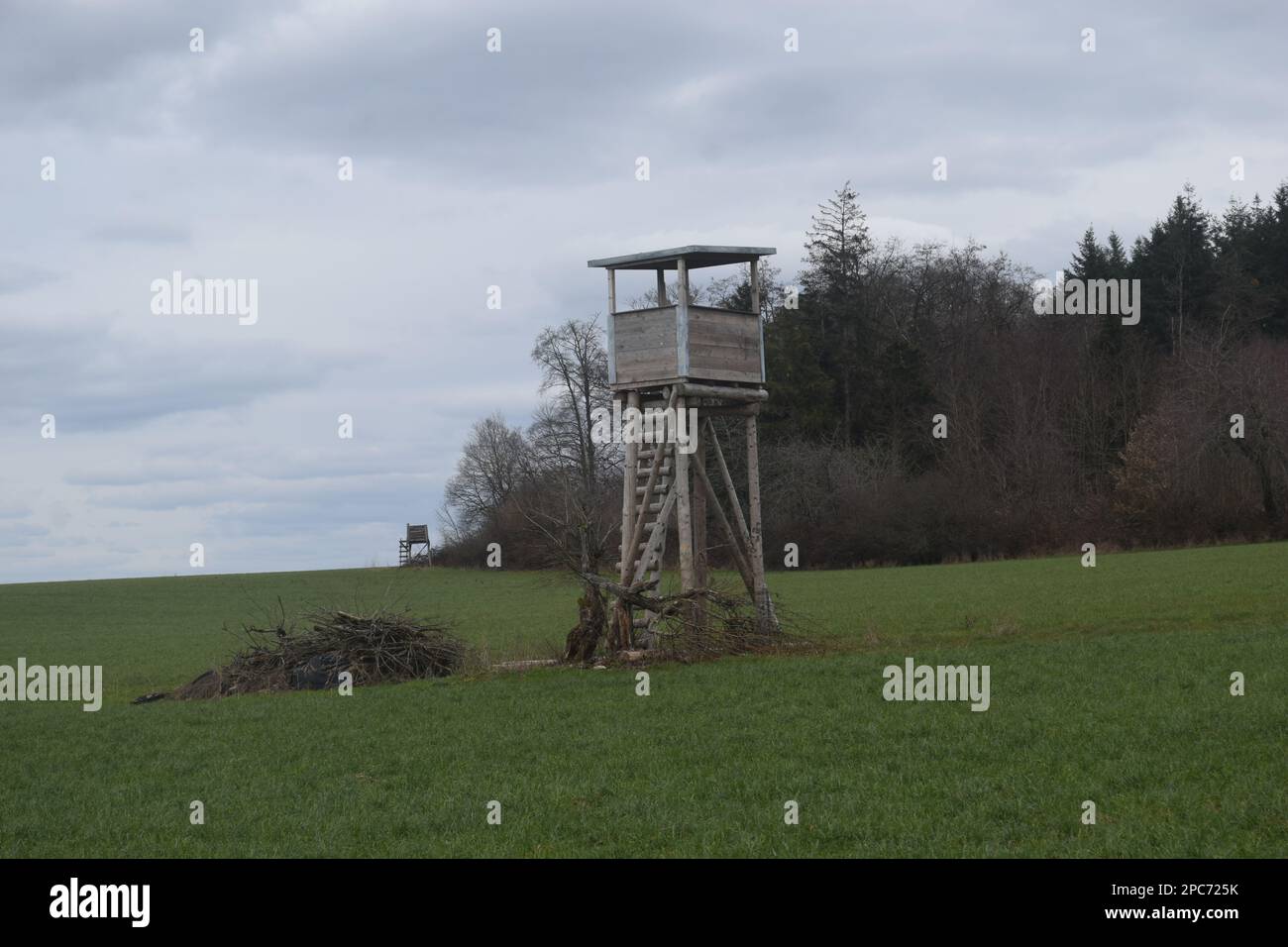 Forester si trova in alto sul bordo della foresta, Förster hoch sitz Foto Stock