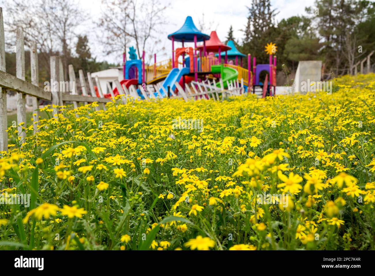Colorato parco giochi in plastica con stazioni di gioco nella natura rigenerata. Fiori gialli a fuoco selettivo. Foto Stock