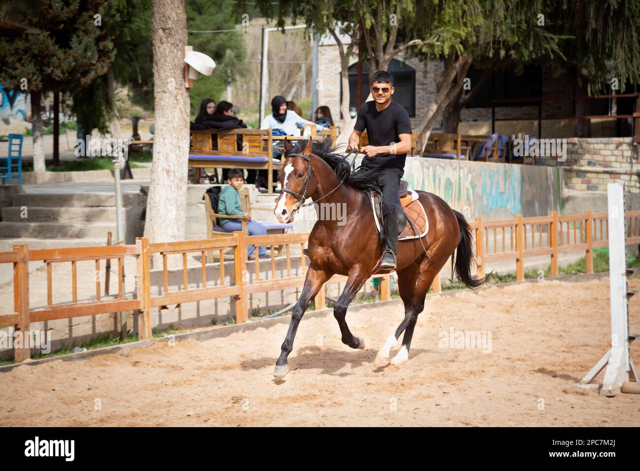 Dressage rider in maneggio a cavallo. Foto Stock