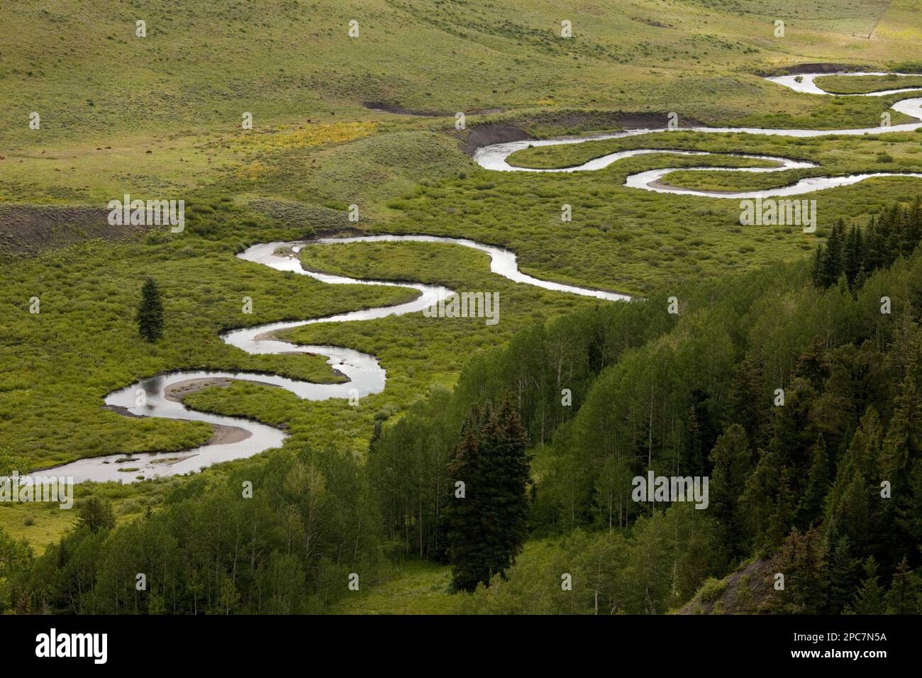 Vista dei meandri del fiume, East River, Grand Mesa, Uncompahgre Gunnison National Forest, Creasted Butte, Rocky Mountains, Colorado (U.) S. A. Foto Stock