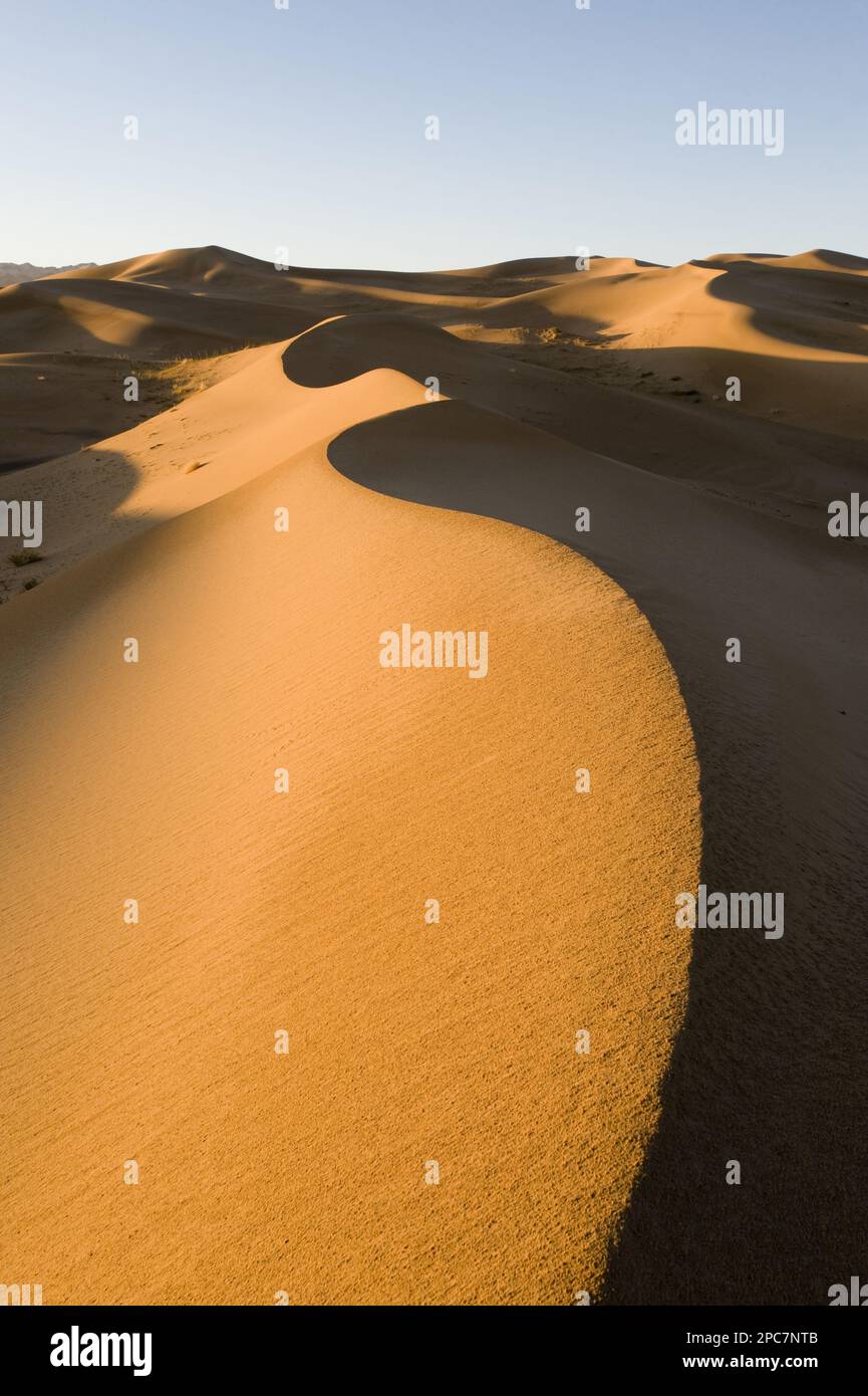 Vista delle dune di sabbia nell'habitat desertico, delle dune di sabbia di Khongoryn Els, del deserto di Gobi del Sud, della Mongolia Foto Stock