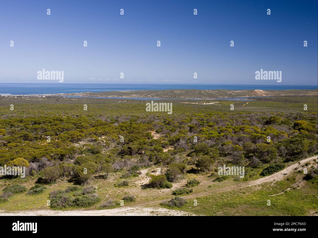 Vista dell'habitat costiero semi-desertico e del mare, Kalbarri N. P. Australia Occidentale, Australia Foto Stock