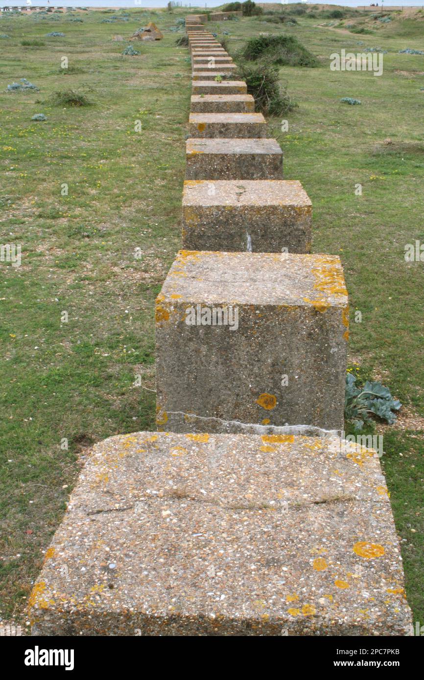 Seconda guerra mondiale blocchi di cemento anticarro, su ghiaia vegetata, Landguard Peninsula, Felixstowe, Suffolk, Inghilterra, Regno Unito Foto Stock