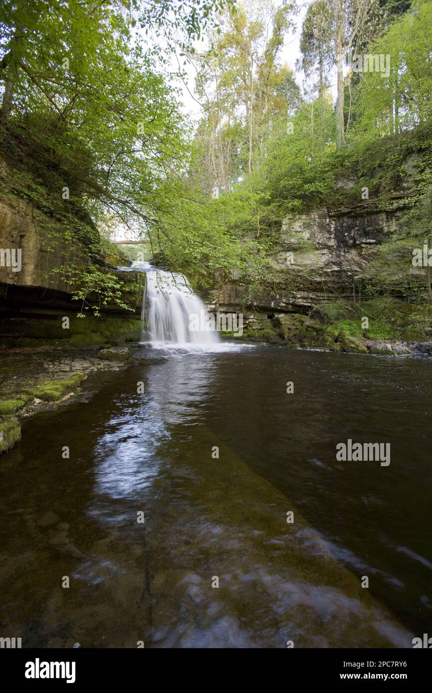 Vista della cascata e del fiume, Cauldron Falls, Walden Beck, River Ure, West Burton, Wensleydale, Yorkshire Dales, North Yorkshire, Inghilterra, United Foto Stock