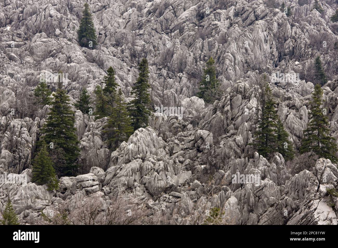 Habitat carsico calcareo con resti di foresta di conifere, Yaban Hayati N. P. Monti Taurus, Anatolia, Turchia meridionale Foto Stock