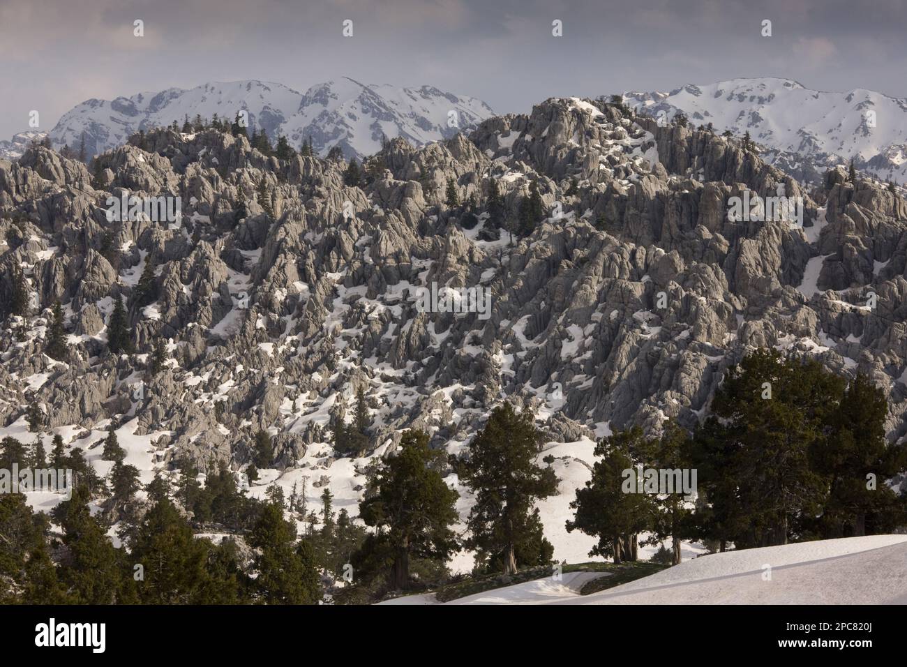 Vista del paesaggio carsico calcareo innevato con resti di foresta di conifere, Yaban Hayati N. P. Monti Taurus, Anatolia, Turchia meridionale Foto Stock