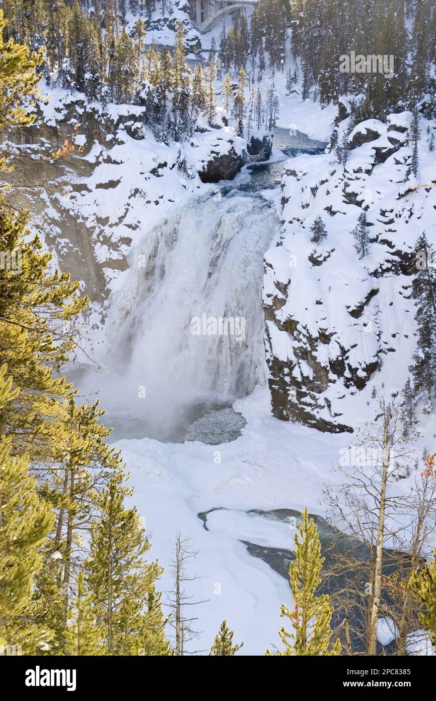 Upper Falls del Yellowstone River Foto Stock