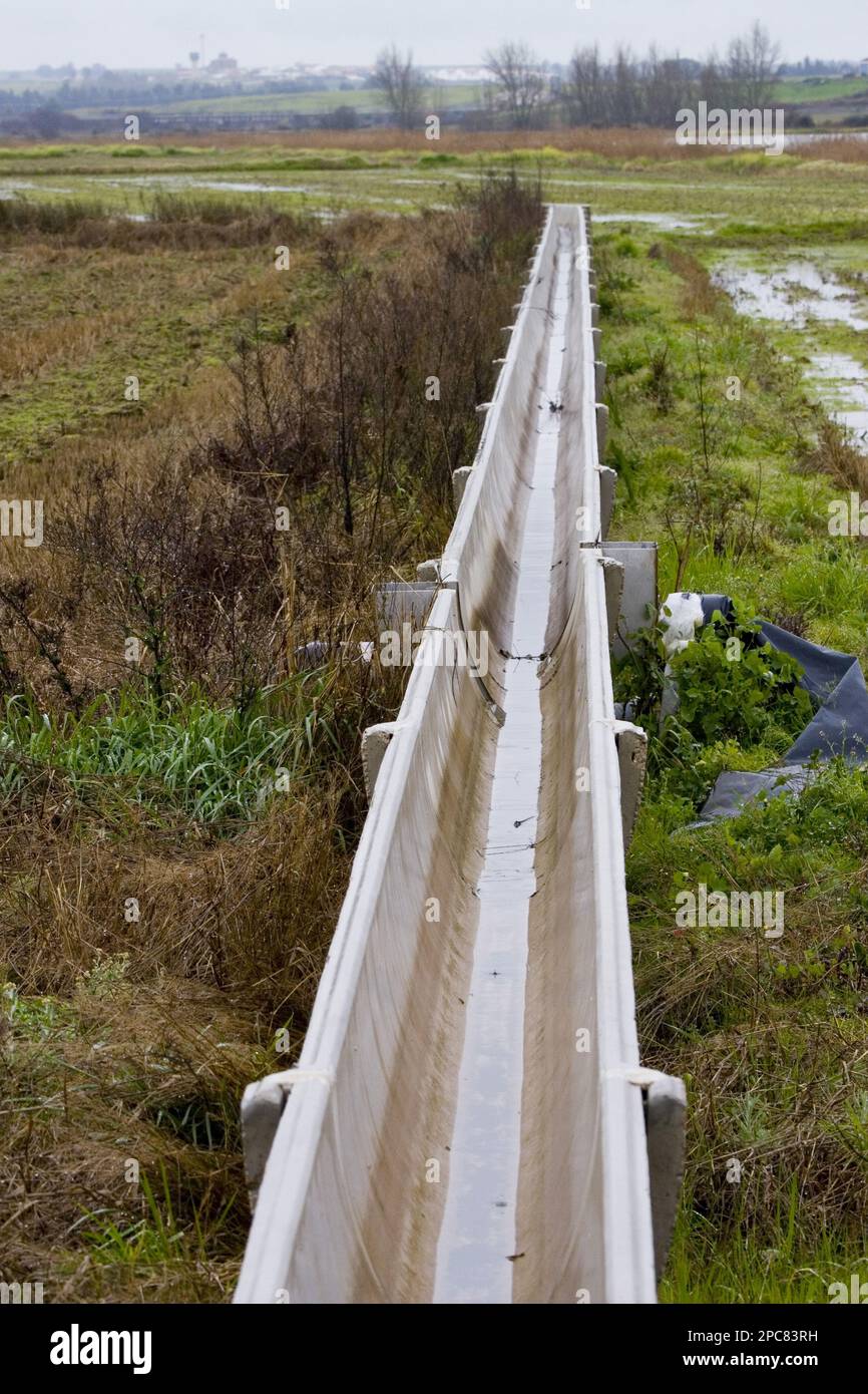 Canale di irrigazione nei campi di riso dell'Estremadura Spagna Foto Stock