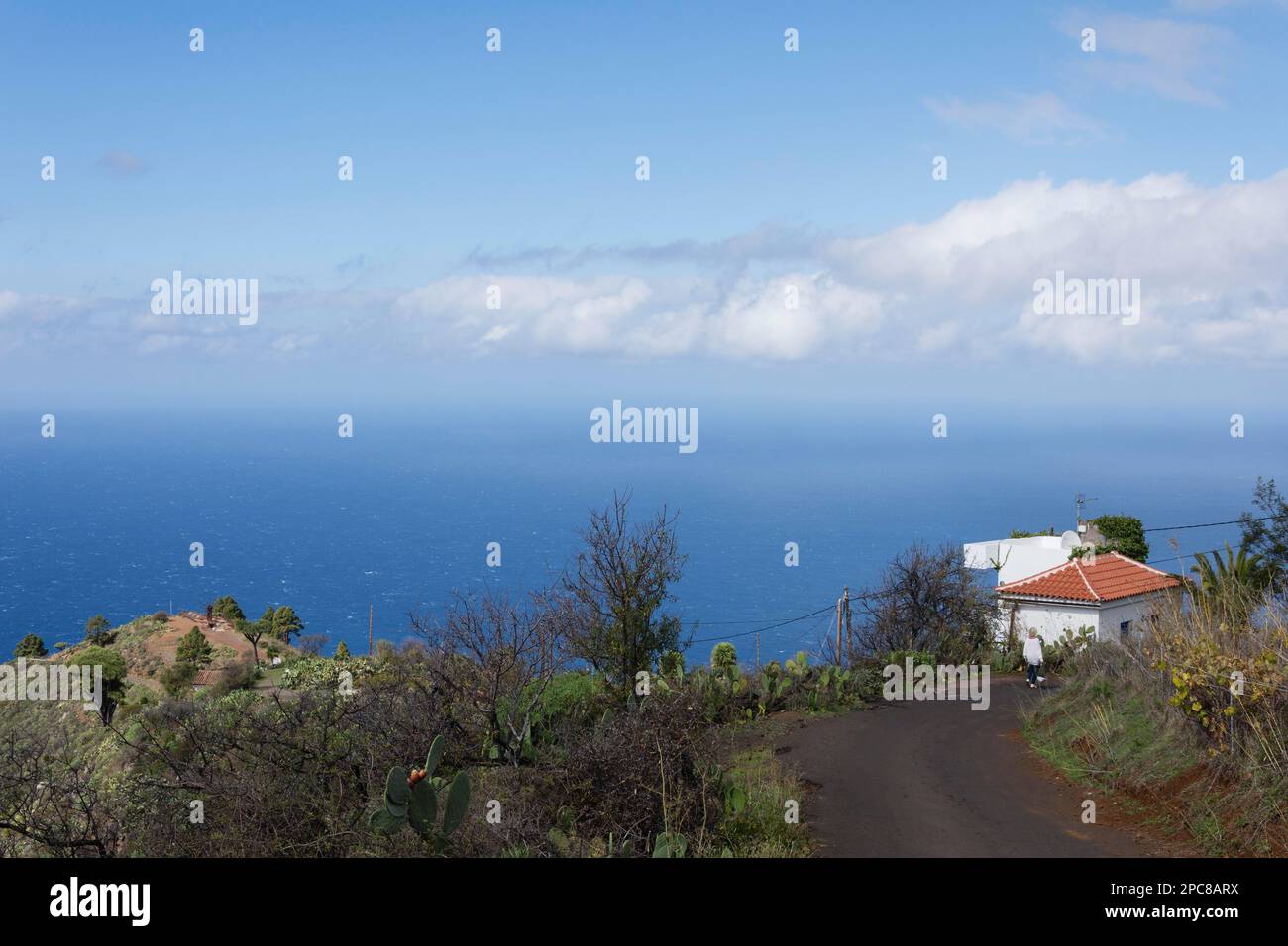 Costa vicino a Las Tricias, Puntagorda, la Palma, Spagna Foto Stock