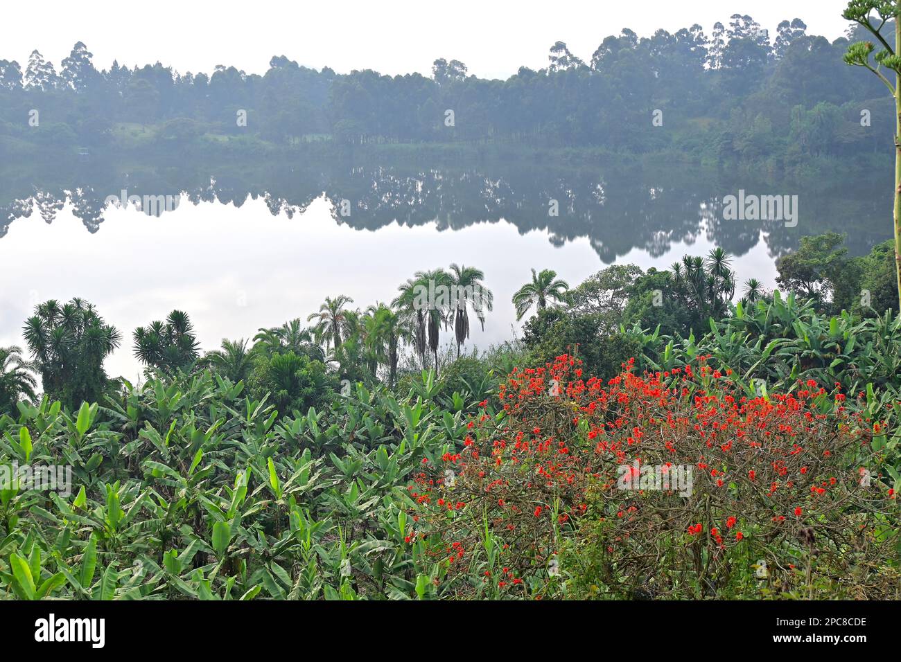 Lago naturale vicino a Fort Portal, Uganda, East Africalake Foto Stock