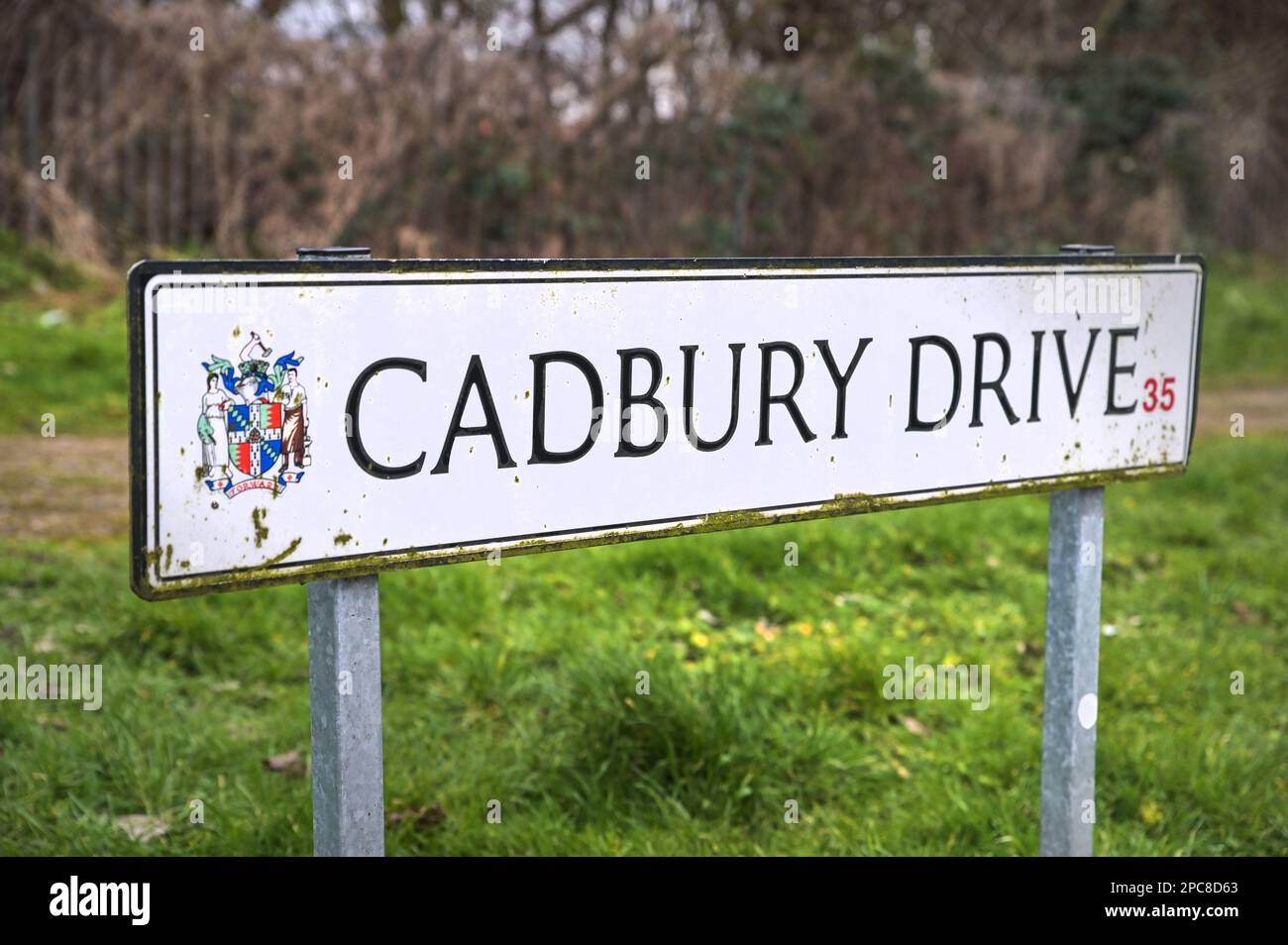 Cadbury Drive, Birmingham, 13 marzo 2023 - la polizia di West Midlands ha avviato un'indagine per omicidio dopo che due uomini sono stati attaccati in una proprietà a Birmingham questo pomeriggio. Una trent forense blu era fuori dalla proprietà con due ufficiali forensi che scattavano foto. Un uomo ha sofferto di pugnalate e, nonostante i migliori sforzi dei colleghi dell'ambulanza, è morto sulla scena di Cadbury Drive poco dopo le 13. Anche un altro uomo ha subito ferite da pugnalata ed è stato portato in ospedale in condizioni critiche. Credito: Interrompi stampa Media/Alamy Live News Foto Stock