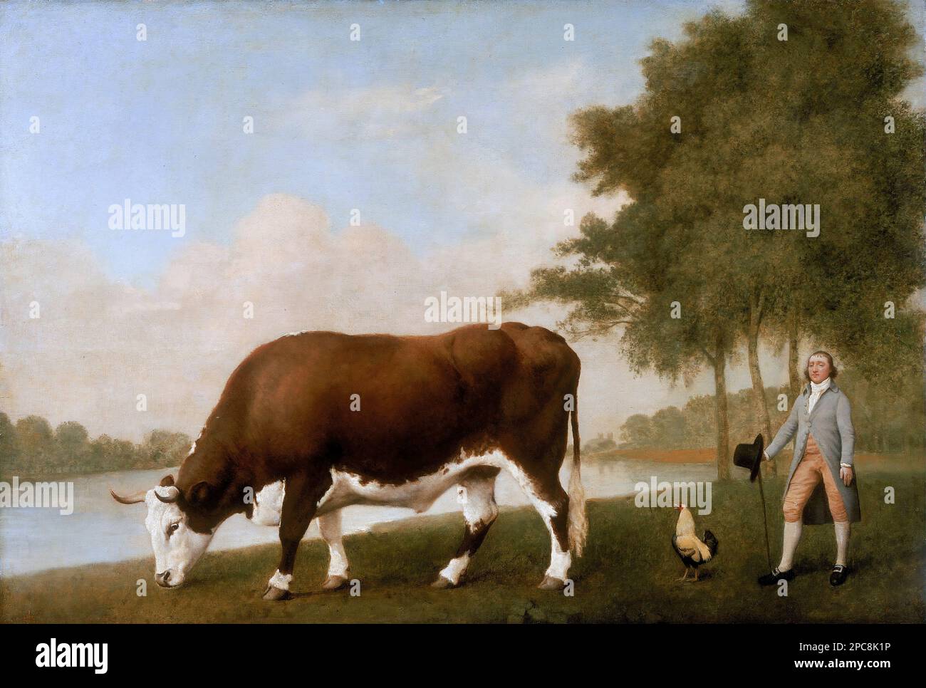 The Lincolnshire Ox di George Stubbs (1724-1806), olio su pannello, 1790 Foto Stock