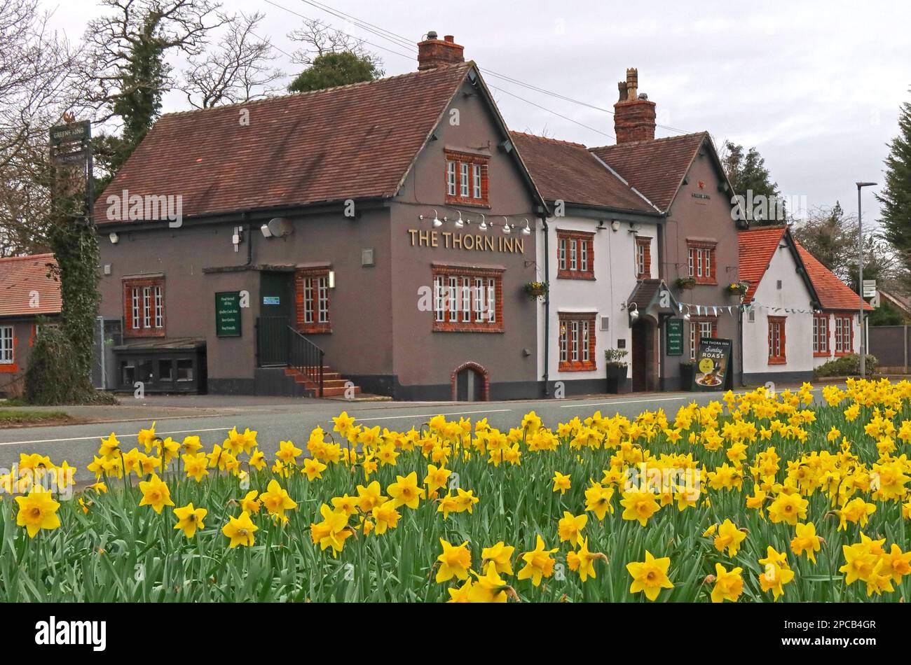 Primavera al Thorn Inn, Greene King hostelry, a Grappenhall Lane, Appleton Thorn Village, Warrington, Cheshire, Inghilterra, Regno Unito, WA4 4QX Foto Stock