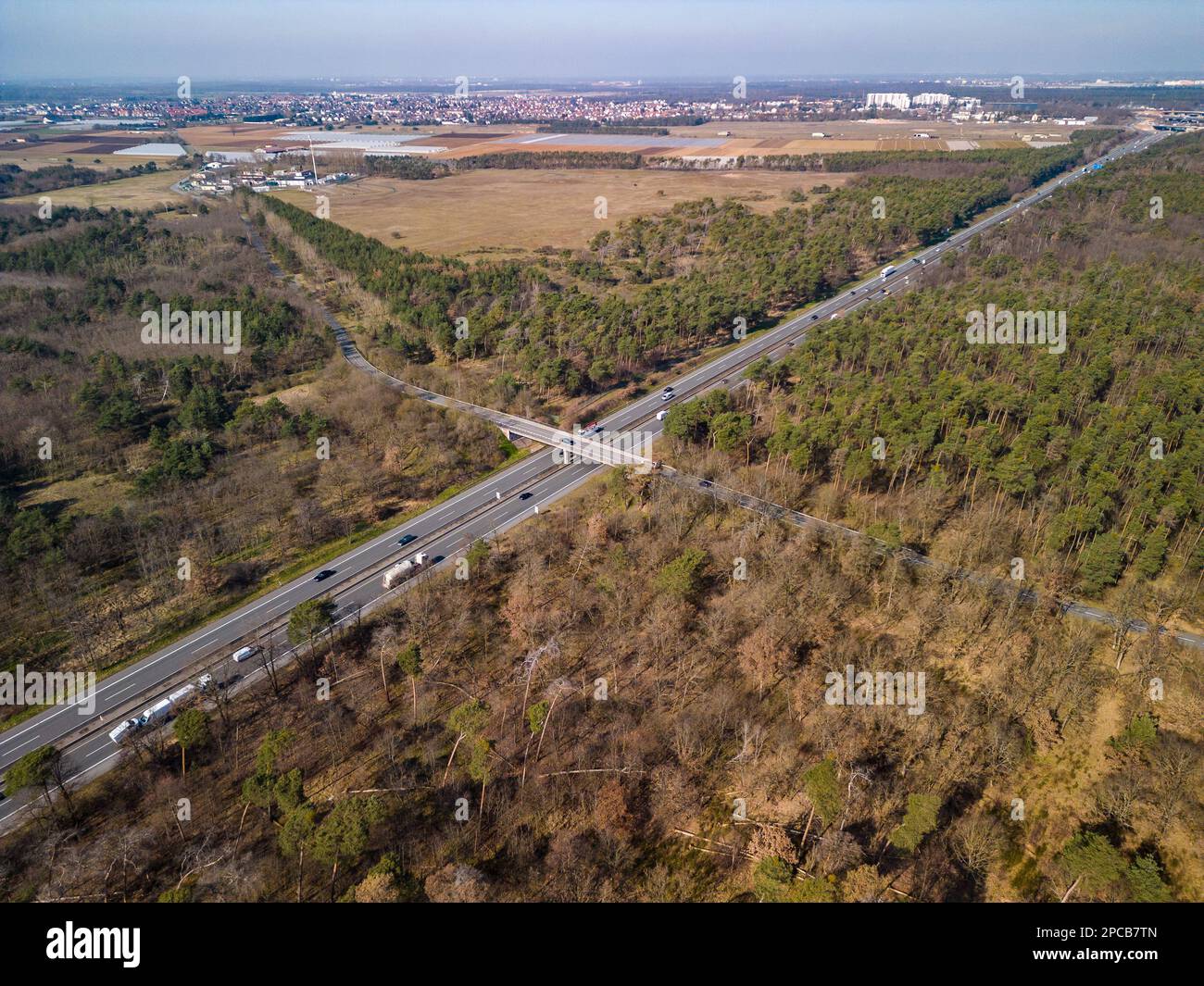 Veduta aerea della foresta malata con alberi danneggiati attraverso cui corre l'autostrada, Germania Foto Stock