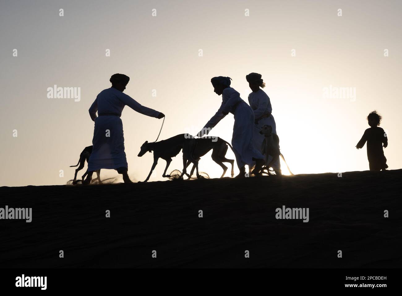Bambini che giocano con cani saluki Foto Stock