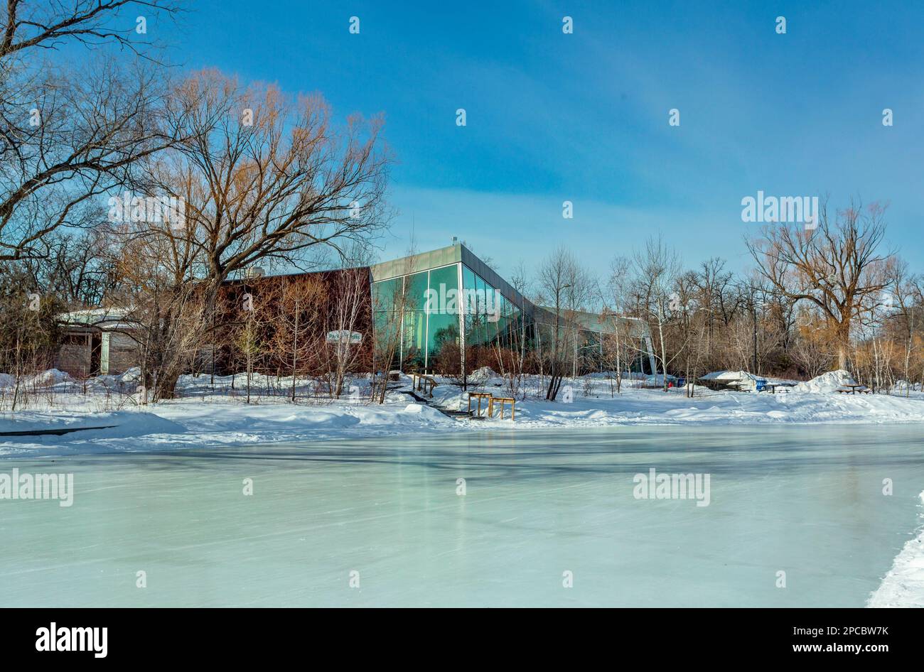 La pista di pattinaggio su ghiaccio di Duck Pond nel parco di Assiniboine, Winnipeg, Manitoba. Foto Stock