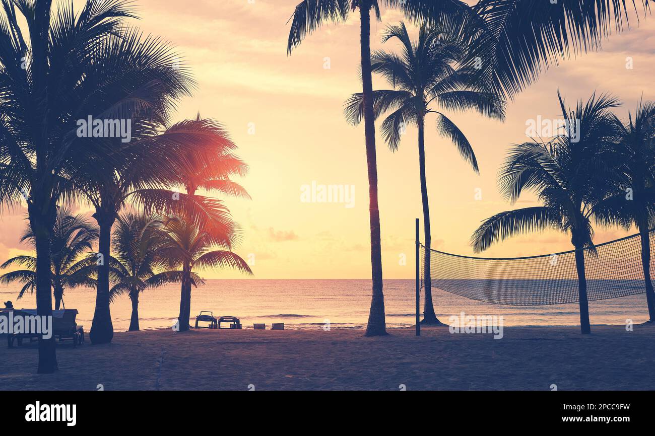 Spiaggia tropicale con silhouette di palme da cocco al tramonto, sfumature di colore applicate. Foto Stock