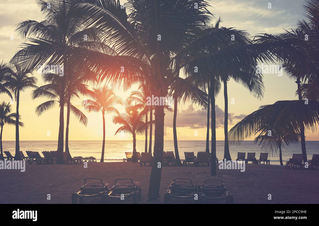 Spiaggia tropicale con silhouette di palme da cocco al tramonto, sfumature di colore applicate. Foto Stock