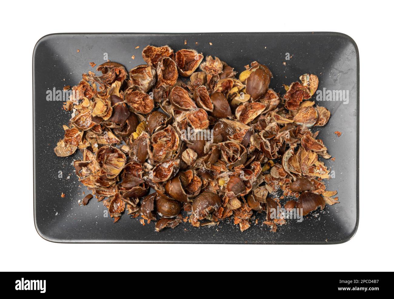 Stalle di castagno isolate, conchiglie di castagne dolci commestibili, spazzatura biologica per compost, ingrediente di scarto organico su fondo bianco Foto Stock