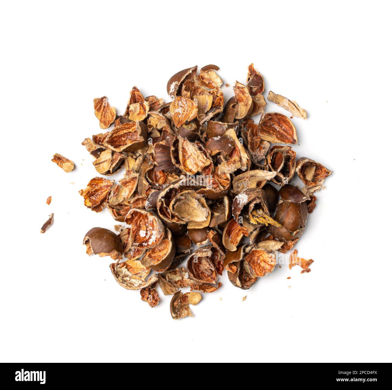 Stalle di castagno isolate, conchiglie di castagne dolci commestibili, spazzatura biologica per compost, ingrediente di scarto organico su fondo bianco Foto Stock