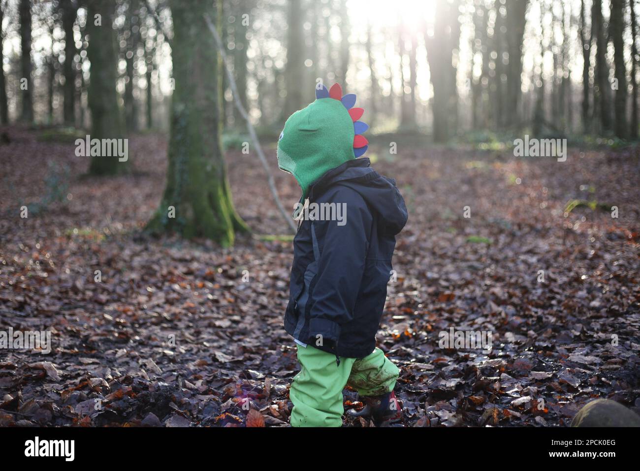 Bambino a piedi nei boschi Foto Stock