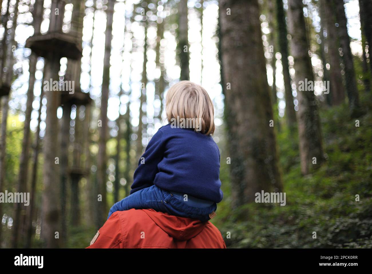 Bambino sulle spalle dei padri nei boschi Foto Stock