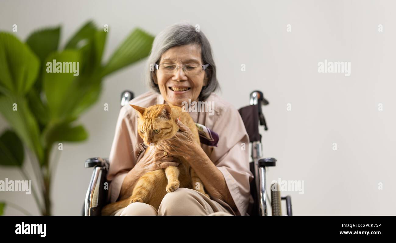 Terapia PET nel trattamento della demenza su donne anziane. Foto Stock