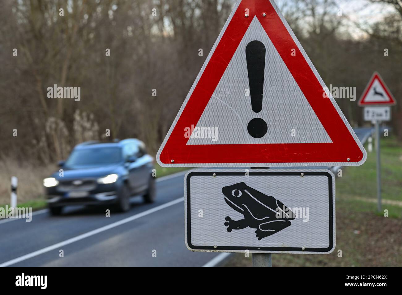 13 marzo 2023, Brandeburgo, Altfriedland: Un cartello per la migrazione dei rospi si trova su una strada statale. Gli anfibi sono animali a sangue freddo. La loro temperatura corporea dipende fortemente dalla temperatura ambiente. A causa di temperature miti, questi animali stanno lentamente diventando nuovamente attivi. Non appena le temperature notturne non scendono più sotto i sei gradi, i rospi, i rospi, i novelli, le salamandre e le rane iniziano la loro migrazione primaverile verso i terreni di riproduzione. In Germania vivono in totale 21 specie anfibi diverse. Dal 1980 sono tutti sotto protezione speciale. Foto: Patrick Pleul/dpa Foto Stock