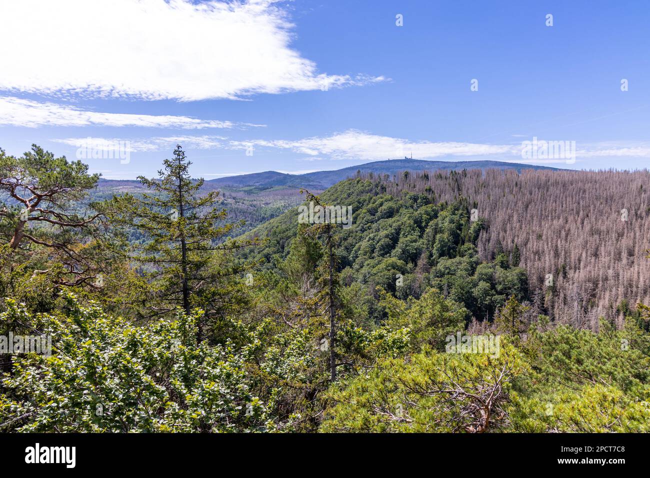 Impressionen aus Ilsenburg Harz und Umgebung Foto Stock