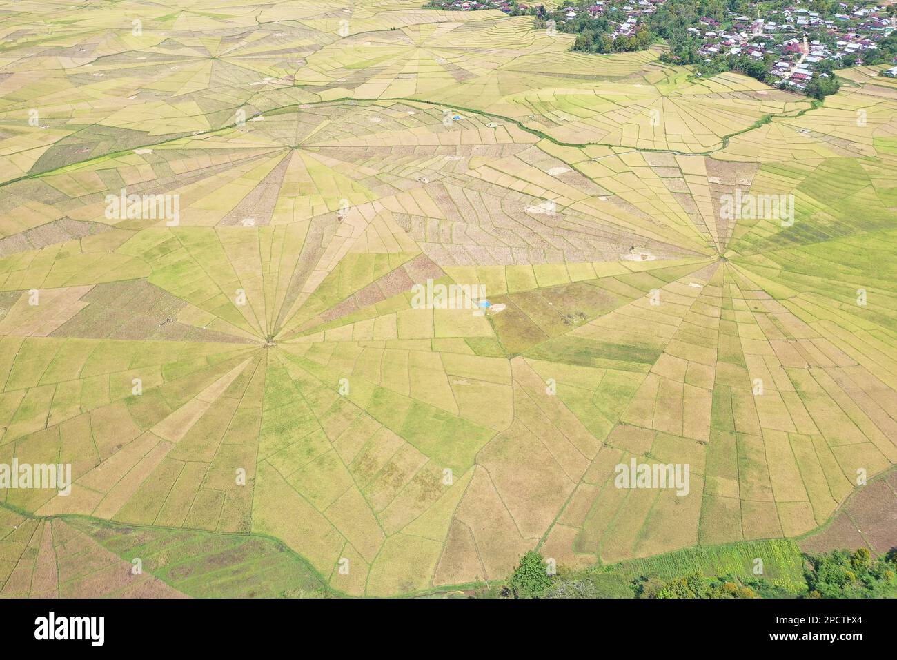 Il drone ha girato dalla vista dell'uccello totale del campo del riso della ragnatela a Ruteng su Flores con gli alberi e le case sui bordi. Foto Stock