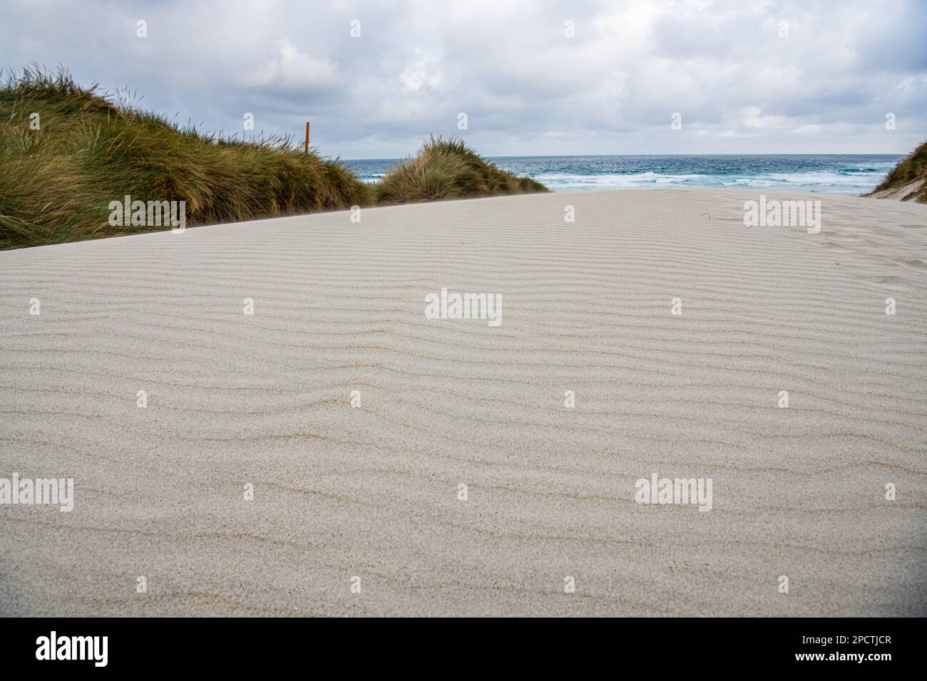 Dune di sabbia bianca e i modelli di increspature nella sabbia con l'oceano pacifico dietro, una scena minimalista in Aotearoa Nuova Zelanda. Foto Stock