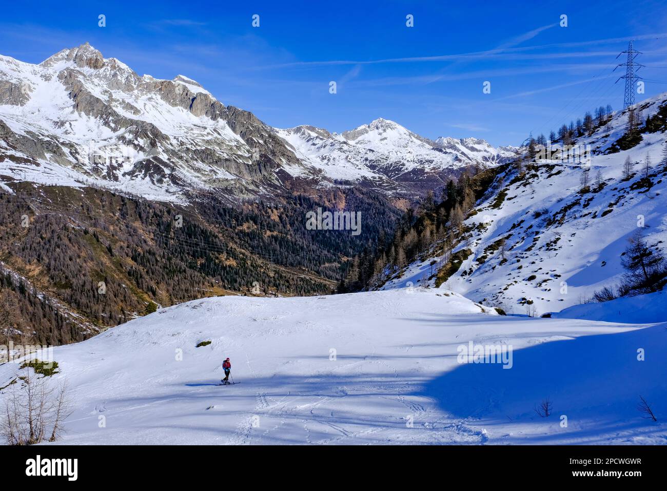 Scialpinista che sale su un pendio nelle Alpi svizzere, Graubunden Foto Stock