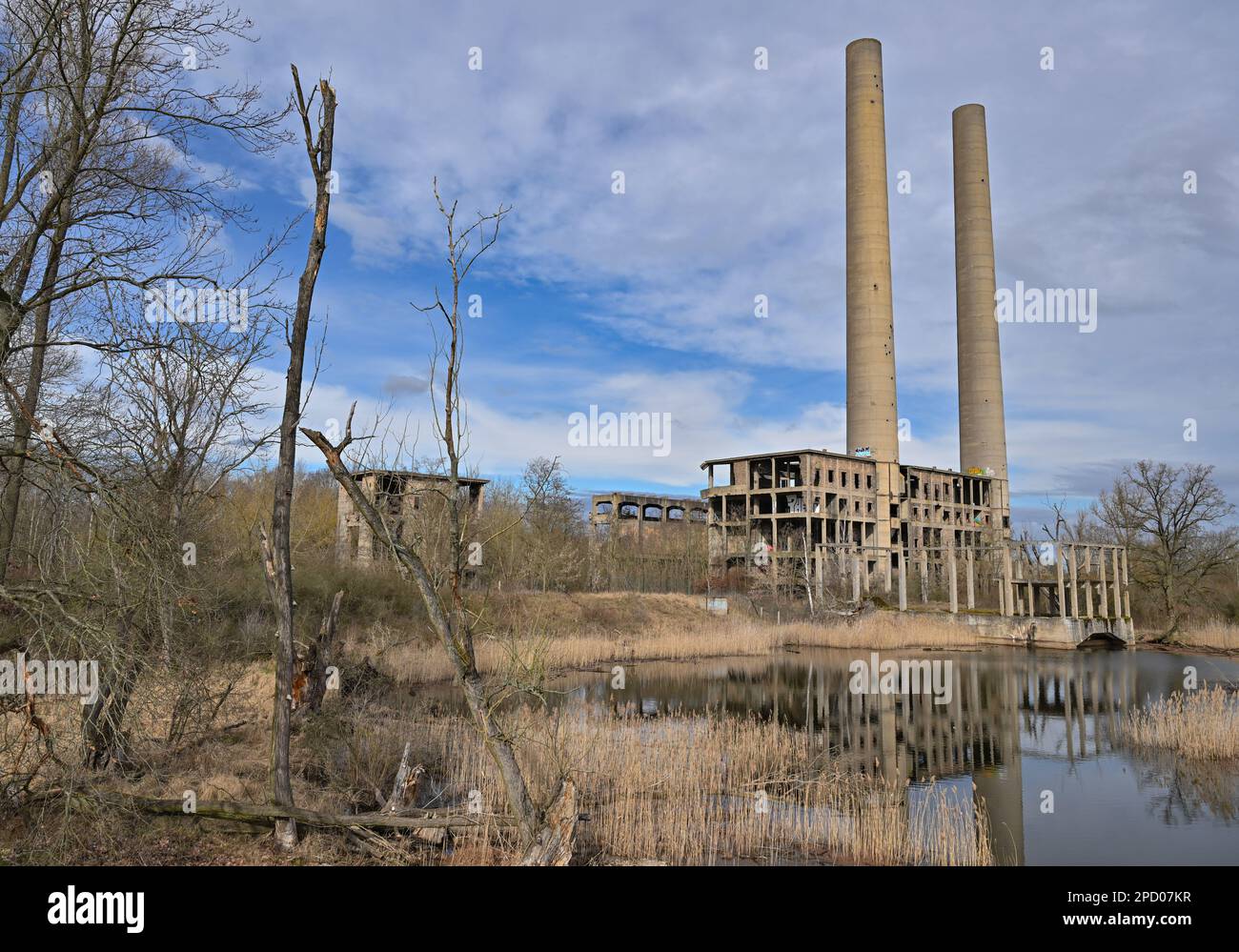 14 marzo 2023, Brandeburgo, Vogelsang: Le rovine dell'ex centrale elettrica direttamente sul fiume Oder, confine tedesco-polacco. La centrale di Vogelsang fu costruita verso la fine della seconda guerra mondiale e doveva coprire la crescente domanda di elettricità. La costruzione doveva essere costruita da lavoratori forzati e prigionieri di guerra. La centrale elettrica non è mai entrata in funzione regolarmente e fu smantellata dopo la guerra come riparazioni. Tutte le attrezzature sono state smantellate su ordine del Ministero militare sovietico. Oggi rimane solo il conchiglia con i due camini alti 100 metri. Foto: P Foto Stock