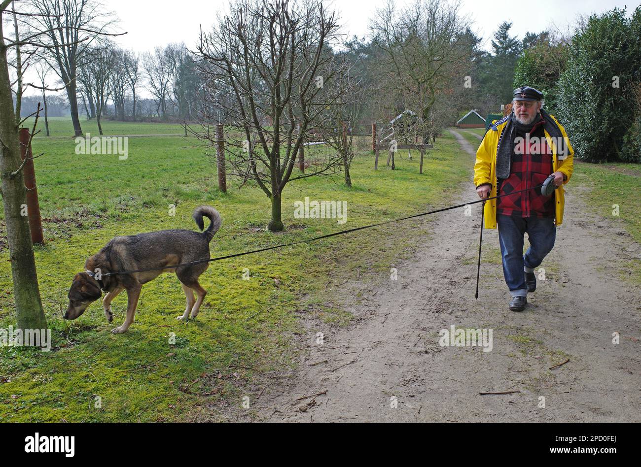 L'uomo anziano con un impermeabile e un bastone cammina con un cane. Sta usando un guinzaglio estensibile del cane. Foto Stock